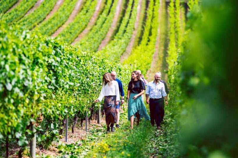 From Hobart: Tasmanian Wine Tour - What Travelers Are Saying