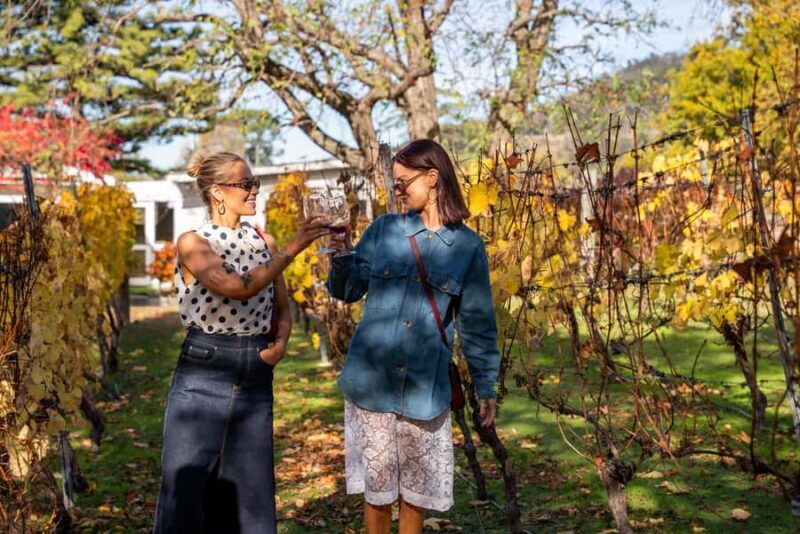 From Hobart: Tasmanian Wine Tour - Practical Tips for the Tour