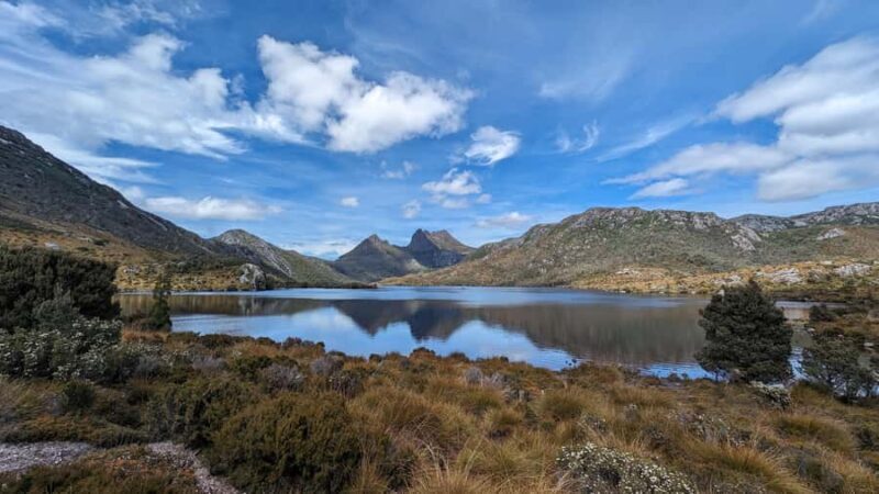 From Hobart: The Ultimate 10-Day Tour of Tasmania's Regions - Reviews and Feedback