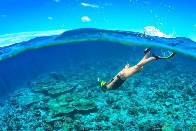From Hoi An/Da Nang: Amazing Cham Island Snorkeling Tour - Exploring the Cham Island Snorkeling Tour