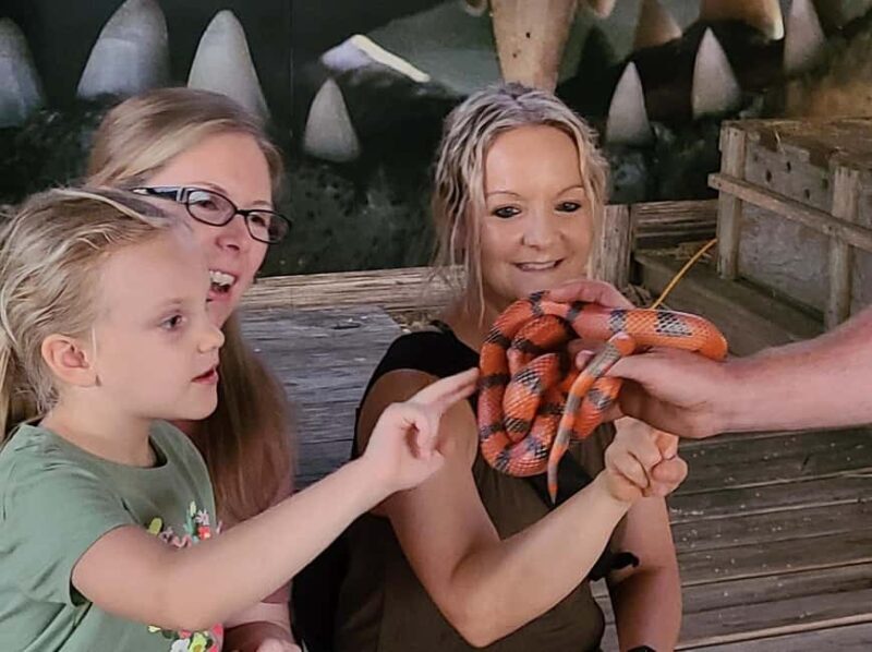 From Houston: Crocodile Encounter Entry Ticket - Key Points