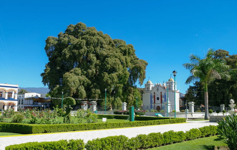 From Huatulco: 2 Days Excursion to Oaxaca City - Transportation, Logistics, and Value