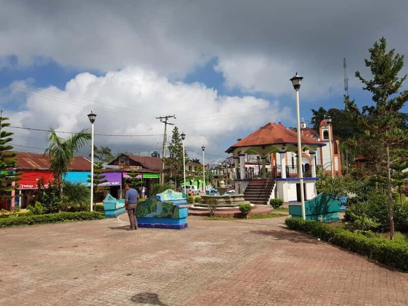 From Huatulco: 3 Levels, Coffee, Culture, and Nature Tour - Key Points