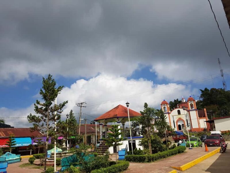 From Huatulco: 3 Levels, Coffee, Culture, and Nature Tour - The Value of the Experience