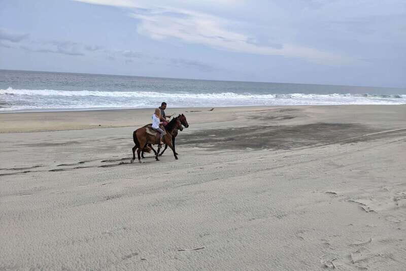 From Huatulco: Beach Horseback Riding Experience - A Deeper Look at the Experience