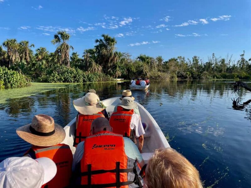 From Huatulco: Crocodiles and Turtles Eco Day-Tour - Key Points