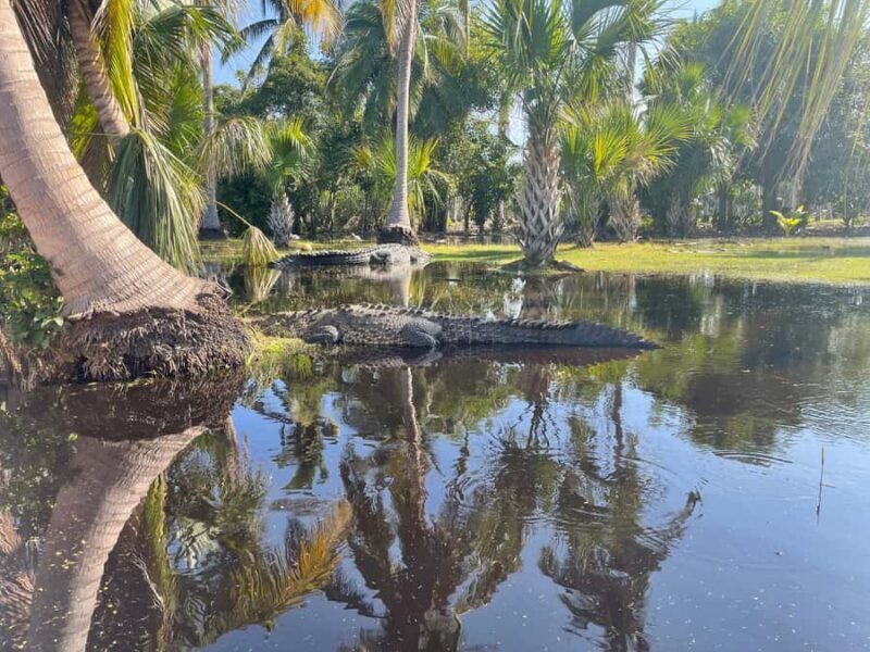 From Huatulco: Crocodiles and Turtles Eco Day-Tour - Introduction: A Chance to Connect with Oaxaca’s Natural Heart
