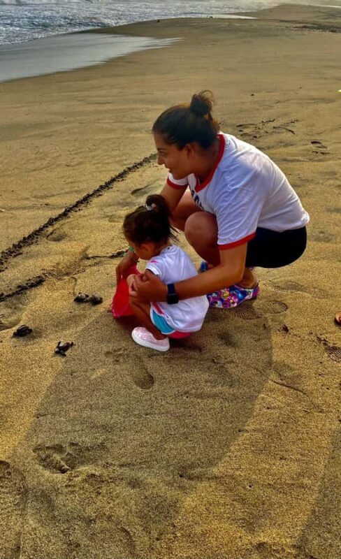 From Huatulco: Crocodiles and Turtles Eco Day-Tour - The Sum Up: Is It Worth It?