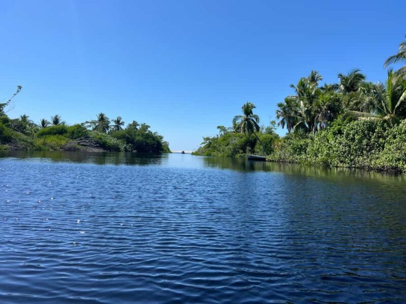 From Huatulco: Crocodiles and Turtles Eco Day-Tour - FAQ