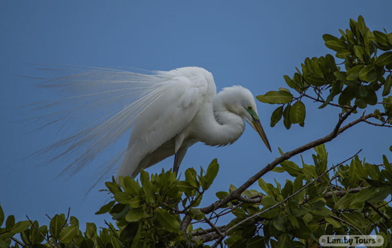 From Huatulco: Crocodiles and Turtles Eco Tour - The Sum Up