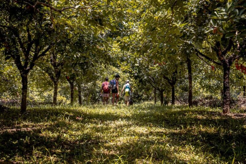 From Huatulco: Exotic garden on an ecotourism ranch and a visit to a viewpoint - A Full Breakdown of the Experience