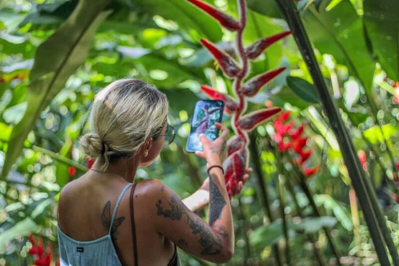 From Huatulco: Exotic garden on an ecotourism ranch and a visit to a viewpoint - Final Thoughts