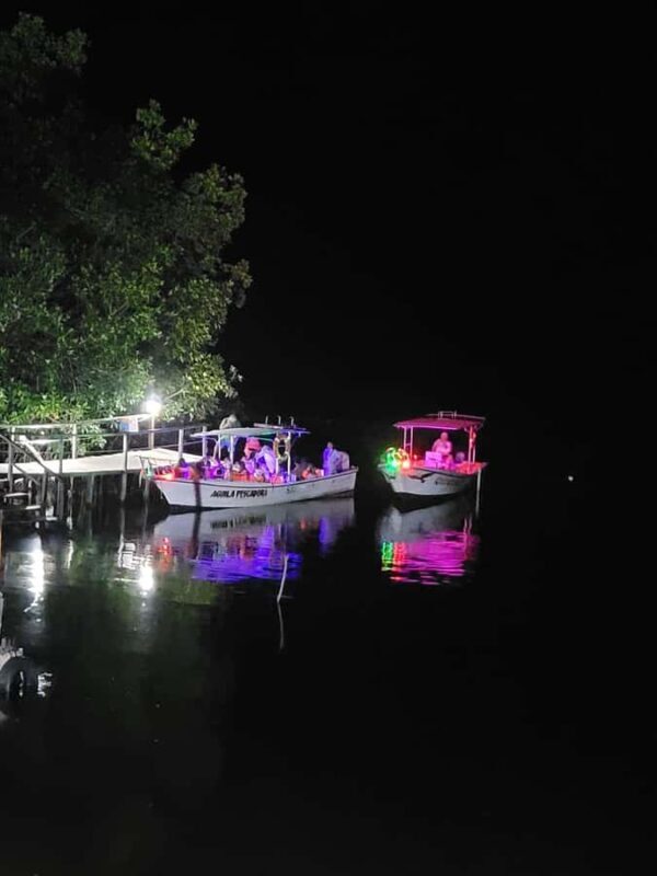 From Huatulco: Magical Bioluminescence Experience - Who Will Love This Tour?