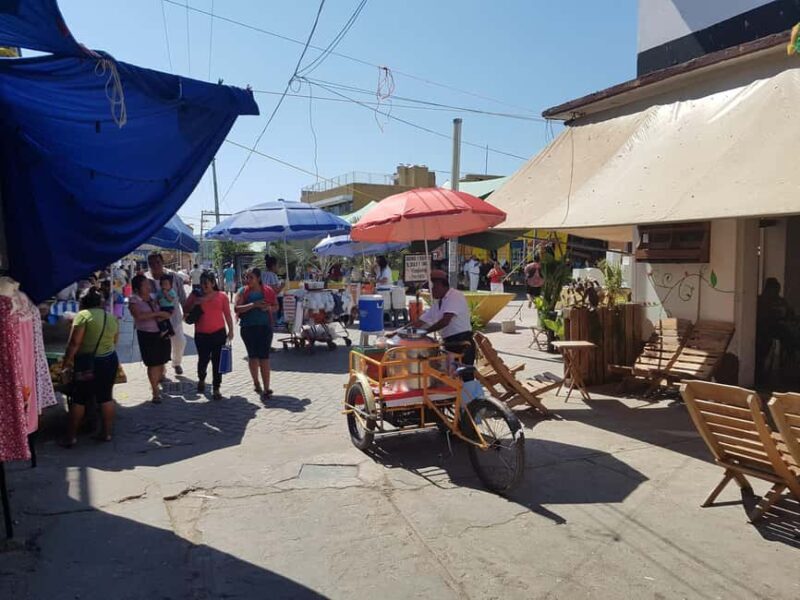 From Huatulco: Pochutla Market Tour with Local Guide - Practicalities and Logistics