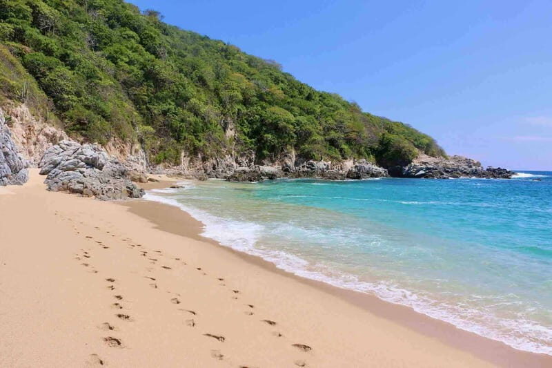 From Huatulco: Private 5 Bays Boat Tour - Who Will Love This Tour?