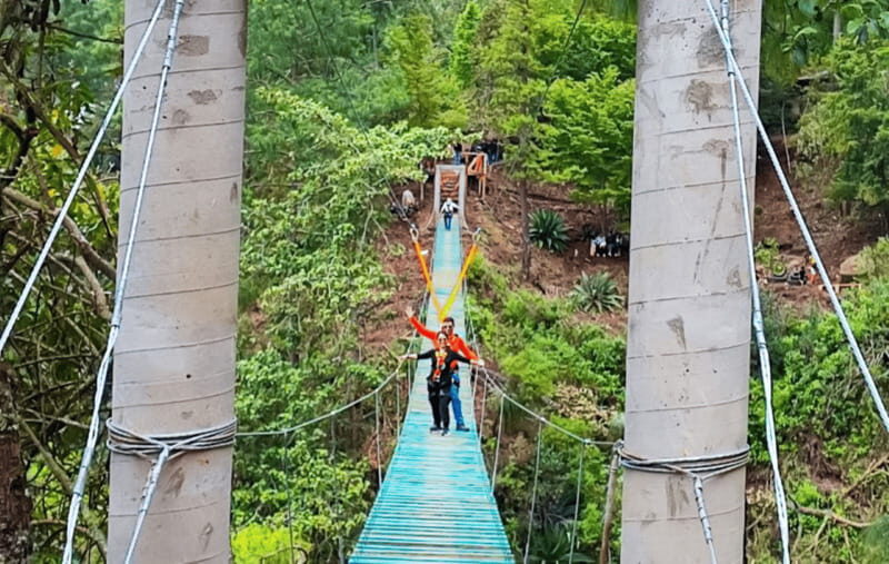 From Huatulco: San Jose del Pacifico Tour - Who Will Love This Tour?