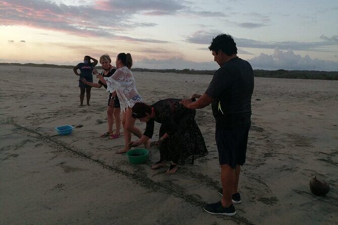 From Huatulco: Turtle Release & Bioluminescence - Who Is This Tour For?