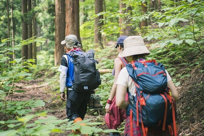 From Hue City: Private Hiking Day Trip at Bach Ma National Park - An In-Depth Look at the Bach Ma Private Hiking Day Trip