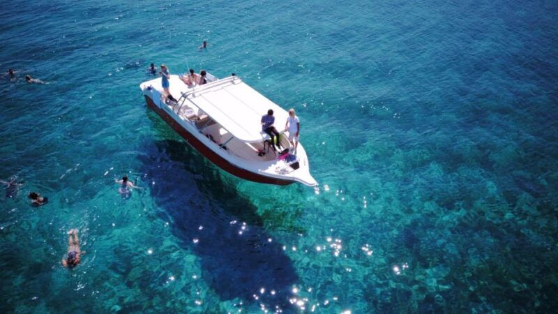From Hvar: Vis Island and Blue Cave Speedboat Tour - What’s Included and What to Consider