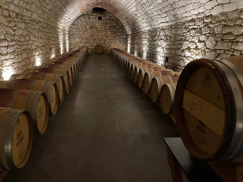 From Iai: Mimi Castle Wine Tasting Day Trip - Who Will Love This Tour?