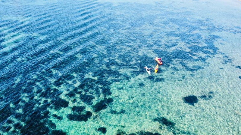 From Inmood Hotel Alcanada. Kayaking Guided Route Island - Why You’ll Love the Kayaking Tour from Inmood Hotel Alcanada