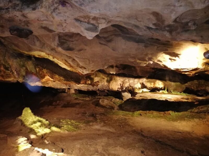 From Interlaken: Beatus Caves, Blue Lake and Lake Thun Tour - FAQ