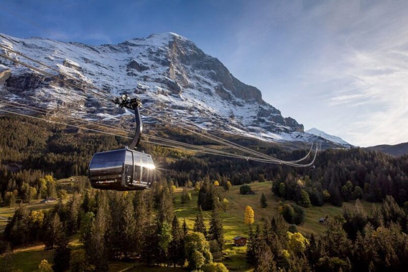 From Interlaken: Day Trip to Jungfraujoch by Bus and Train - What to Expect on Your Jungfraujoch Trip
