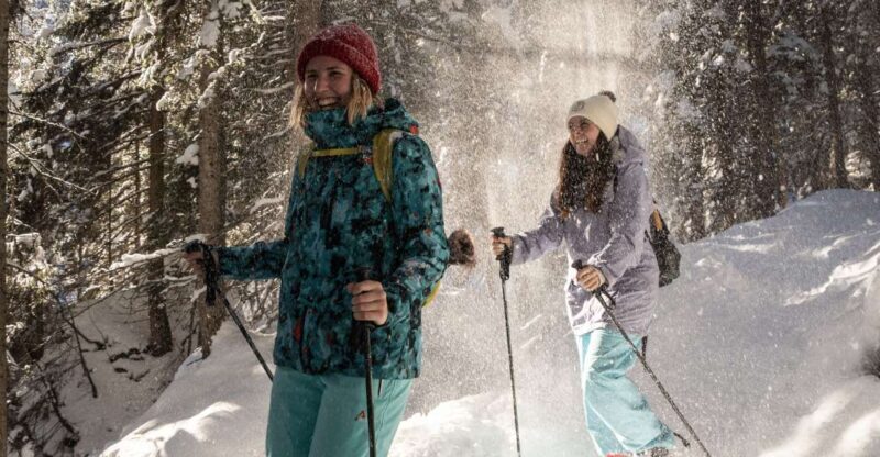 From Interlaken: Wetterhorn Trail Snowshoe Hiking Tour - From Interlaken: Wetterhorn Trail Snowshoe Hiking Tour — An Authentic Winter Experience in Switzerland