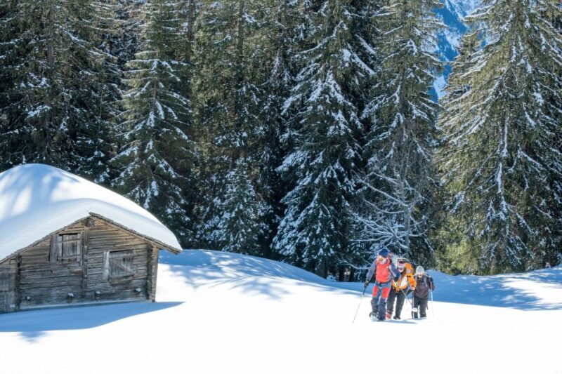 From Interlaken: Wetterhorn Trail Snowshoe Hiking Tour - How This Tour Offers Great Value