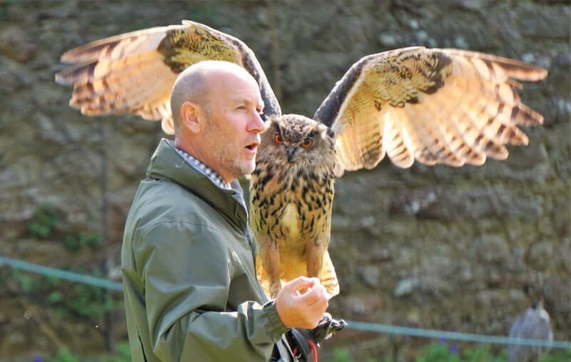 From Invergordon: Private Northern Highlands Shore Excursion - An In-Depth Look at the Northern Highlands Tour