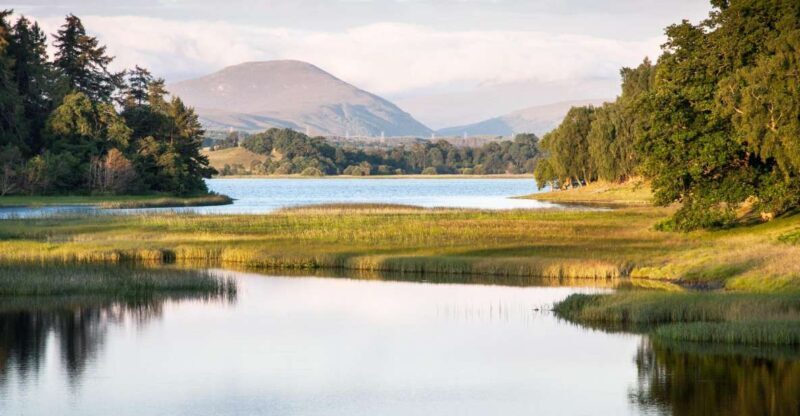 From Inverness: Cairngorms National Park and Whisky Tour - Key Points