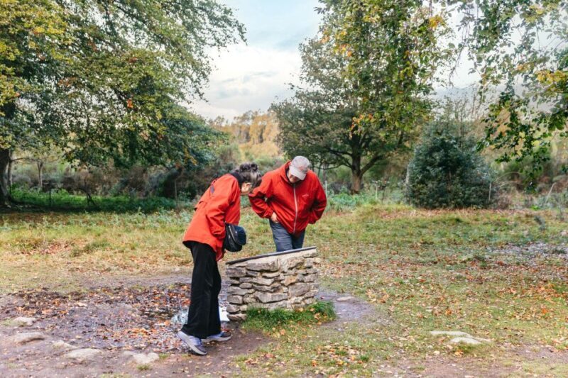 From Inverness: Glen Affric, Culloden, and Clava Cairns Tour - Key Points