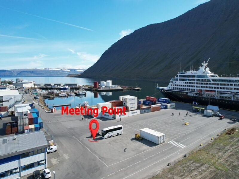 From Isafjordur: Dynjandi Waterfall Guided Day Trip by Bus - Who Is This Tour Best For?