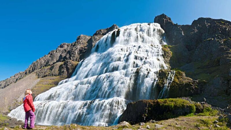 From Isafjordur: Private Dynjandi Waterfall & Farm Tour - A Closer Look at the Itinerary and Highlights