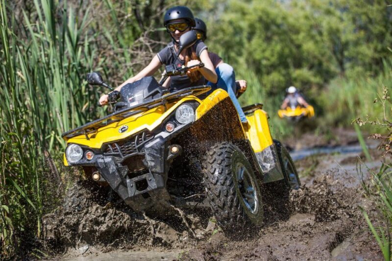 From Istanbul: Guided Day Trip to Sapanca and Masukiye - Key Points