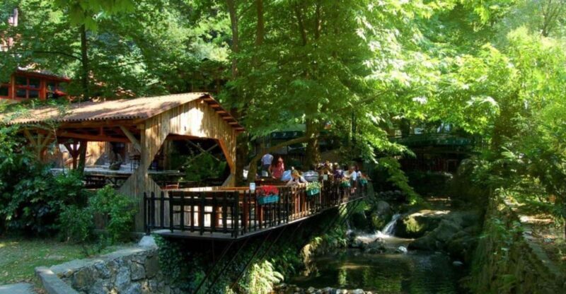 From Istanbul: Guided Day Trip to Sapanca and Masukiye - What to Expect from This Day Trip