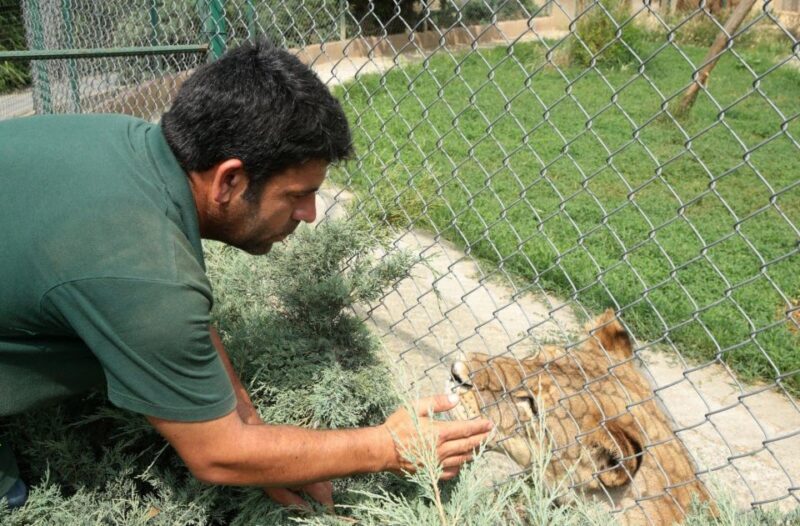 From Istanbul: Guided Day Trip to Sapanca and Masukiye - Potential Drawbacks and Considerations