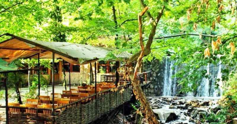 From Istanbul: Sapanca and Masukiye Day Trip with Lunch - The Sum Up