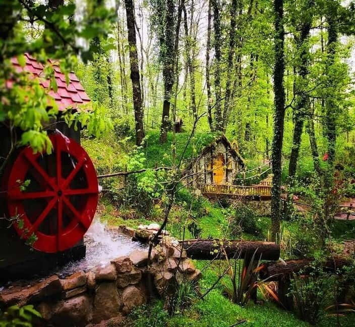 From Istanbul: Sapanca Lake & Masukiye Tour with Lunch - Final Thoughts