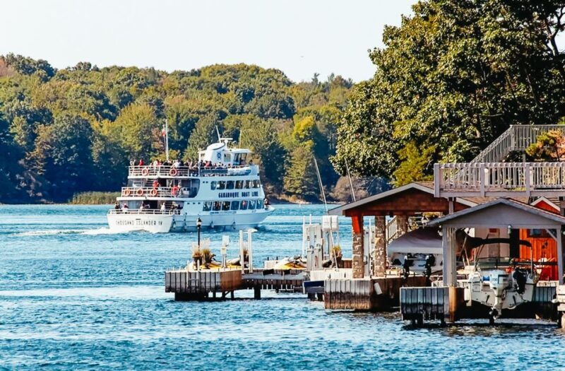 From Ivy Lea: 1000 Islands Boldt Castle Scenic Cruise - Who Should Consider This Cruise?