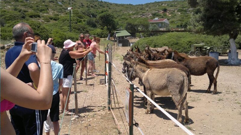 From Izmir: Full Day Boat Trip around Cesme with BBQ Lunch - The Practical Details