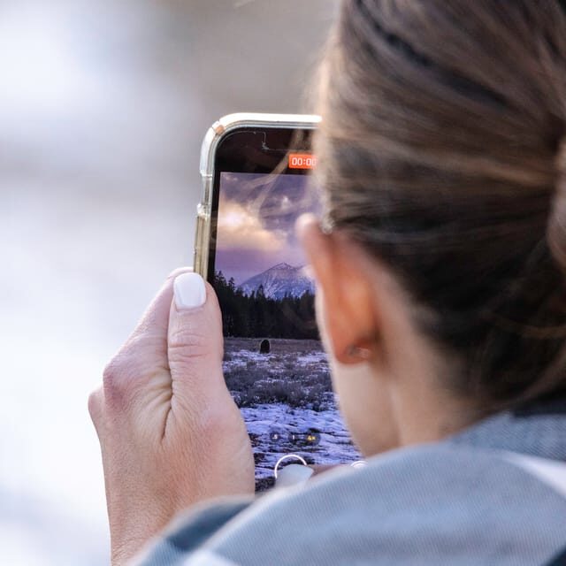 From Jackson: Grand Teton Sunset and Sightseeing Tour - Exploring the Experience in Detail