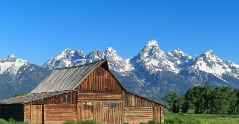 From Jackson Hole: Half-Day Grand Teton Wildlife Tour - Exploring the Details of the Tour