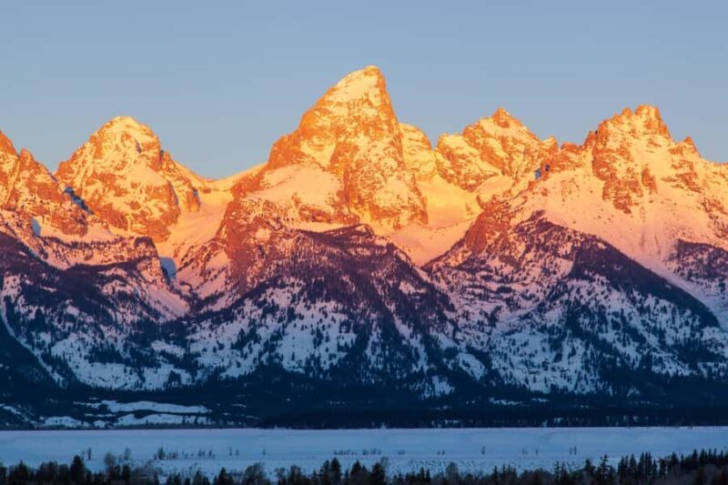 From Jackson Hole: Half-Day Grand Teton Winter Wildlife Tour - Key Points