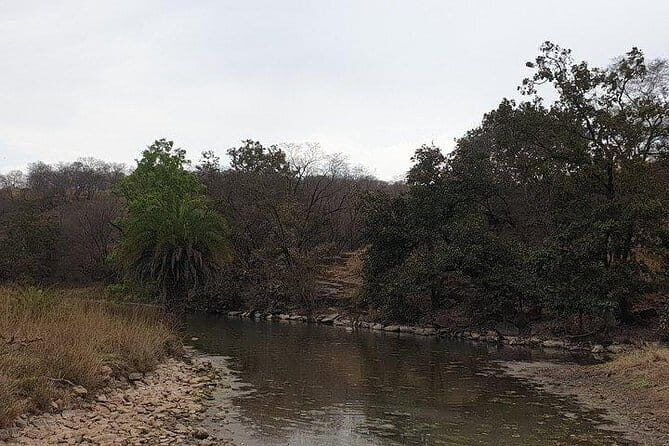 From Jaipur: 2 Day Ranthambore Tiger Safari with Transfers - FAQ