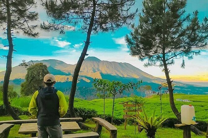 From Jakarta : Java Island To Bali Island 14 Day (Private Tour) - Exploring Java: From Jakarta’s Heritage to Central Java’s Ancient Wonders