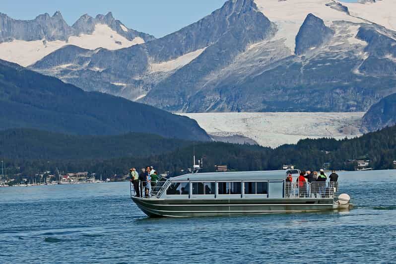 From Juneau: Whale Watching Cruise with Snacks - Price and Value Analysis