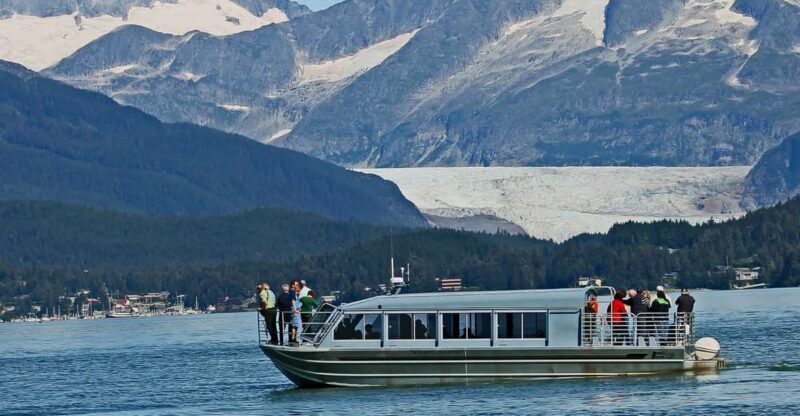 From Juneau: Whale Watching Cruise with Snacks - Key Points