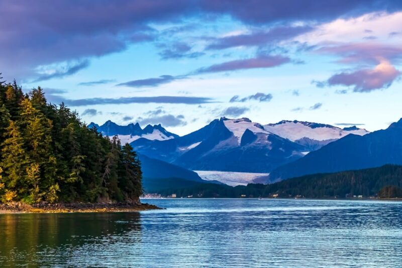 From Juneau: Whale Watching Cruise with Snacks - The Experience in Detail