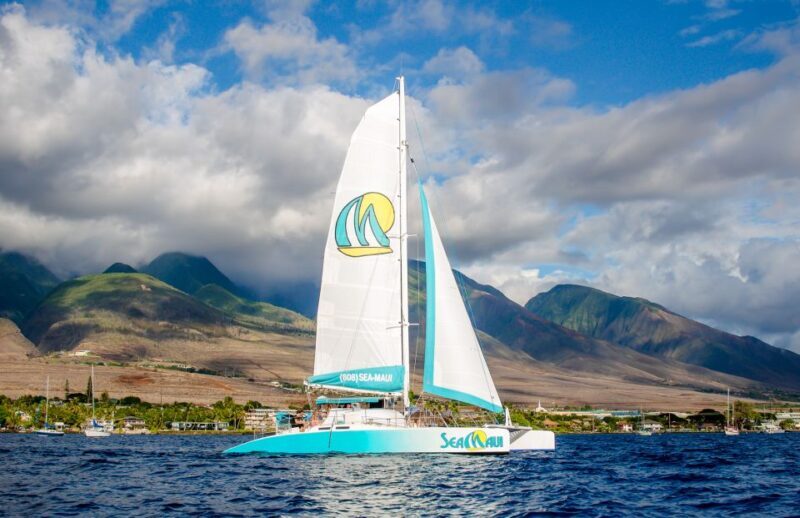 From Kaanapali: Afternoon West Maui Snorkeling w/ Drinks - The Itinerary and Experience Breakdown